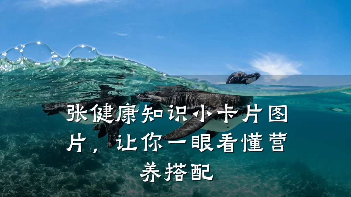 张健康知识小卡片图片,让你一眼看懂营养搭配