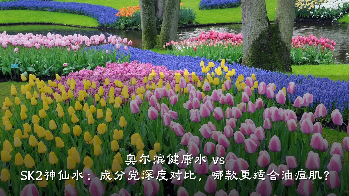 奥尔滨健康水 vs SK2神仙水:成分党深度对比,哪款更适合油痘肌?