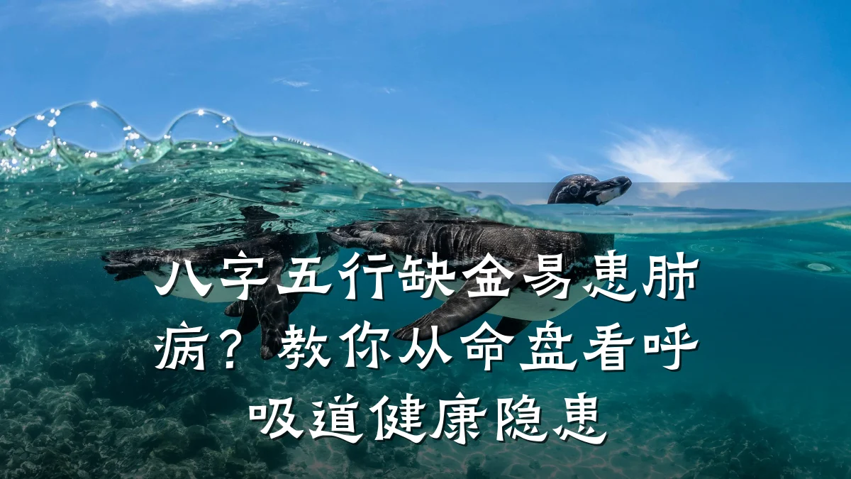 八字五行缺金易患肺病?教你从命盘看呼吸道健康隐患