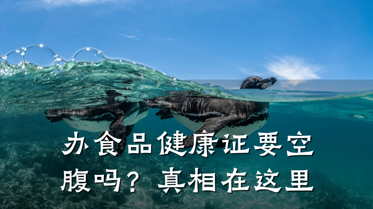 办食品健康证要空腹吗?真相在这里