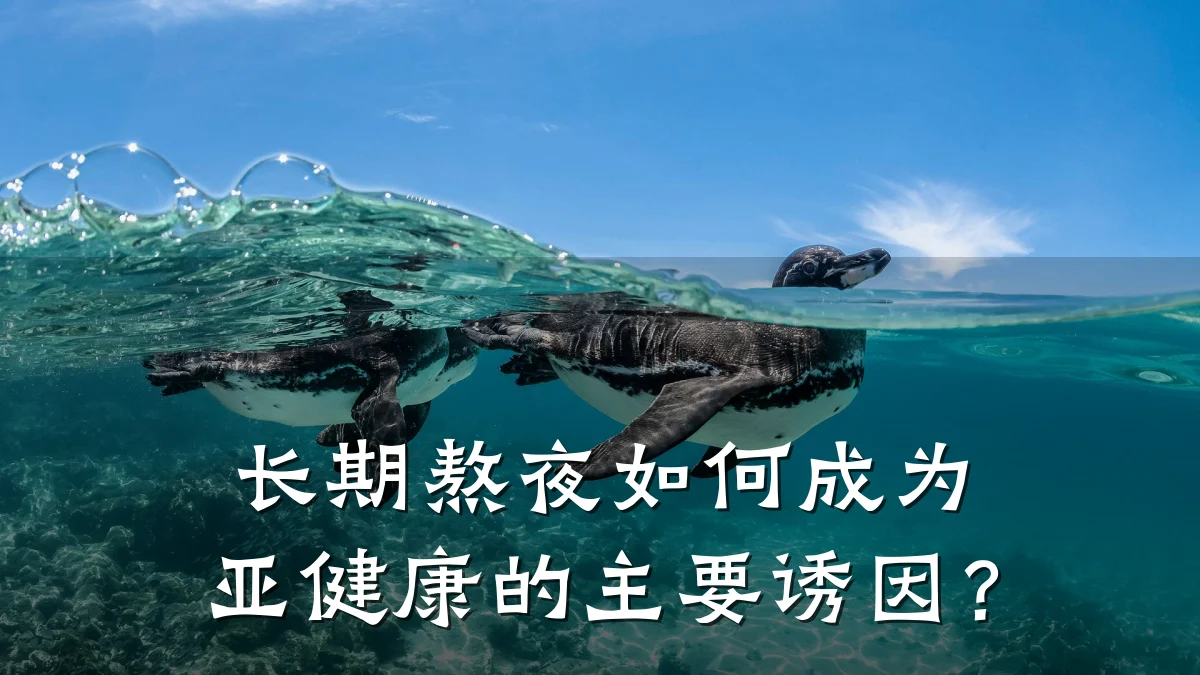 长期熬夜如何成为亚健康的主要诱因?