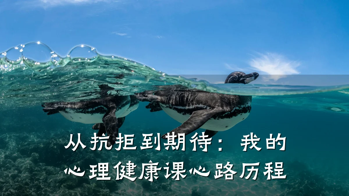 从抗拒到期待:我的心理健康课心路历程