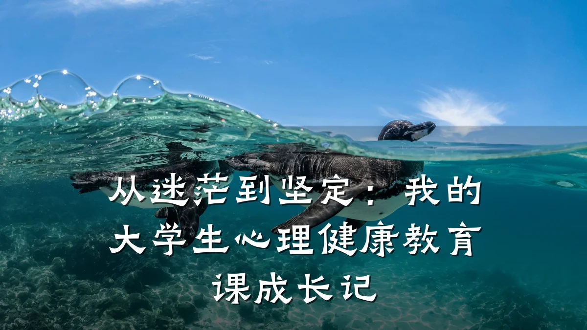 从迷茫到坚定:我的大学生心理健康教育课成长记