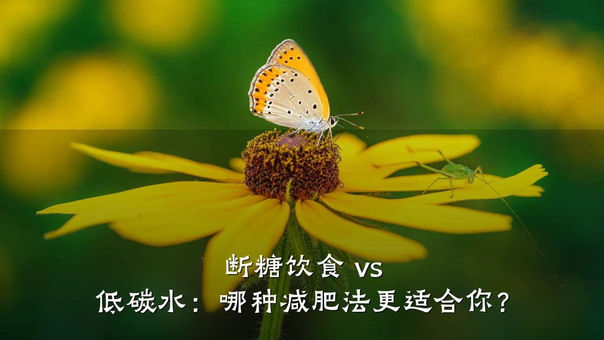 断糖饮食 vs 低碳水:哪种减肥法更适合你?
