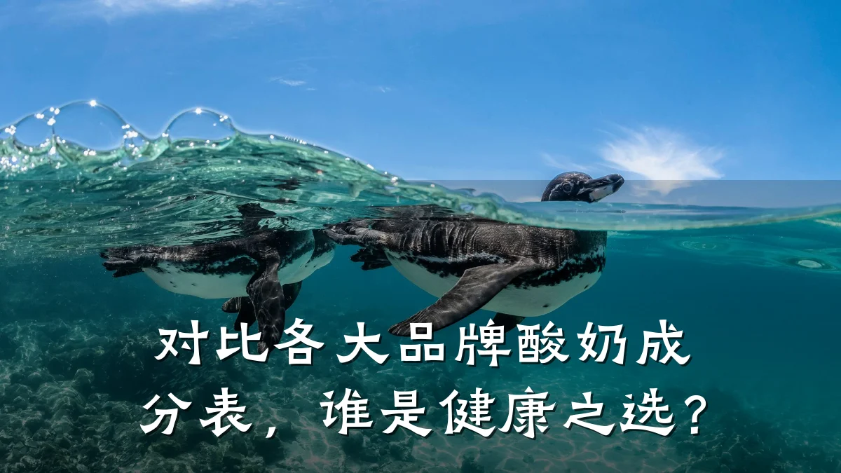 对比各大品牌酸奶成分表,谁是健康之选?
