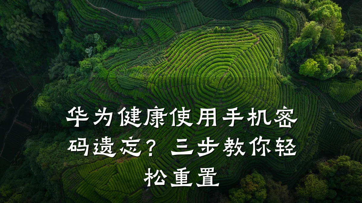 华为健康使用手机密码遗忘?三步教你轻松重置