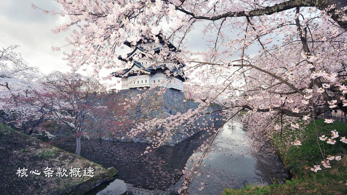 核心条款概述