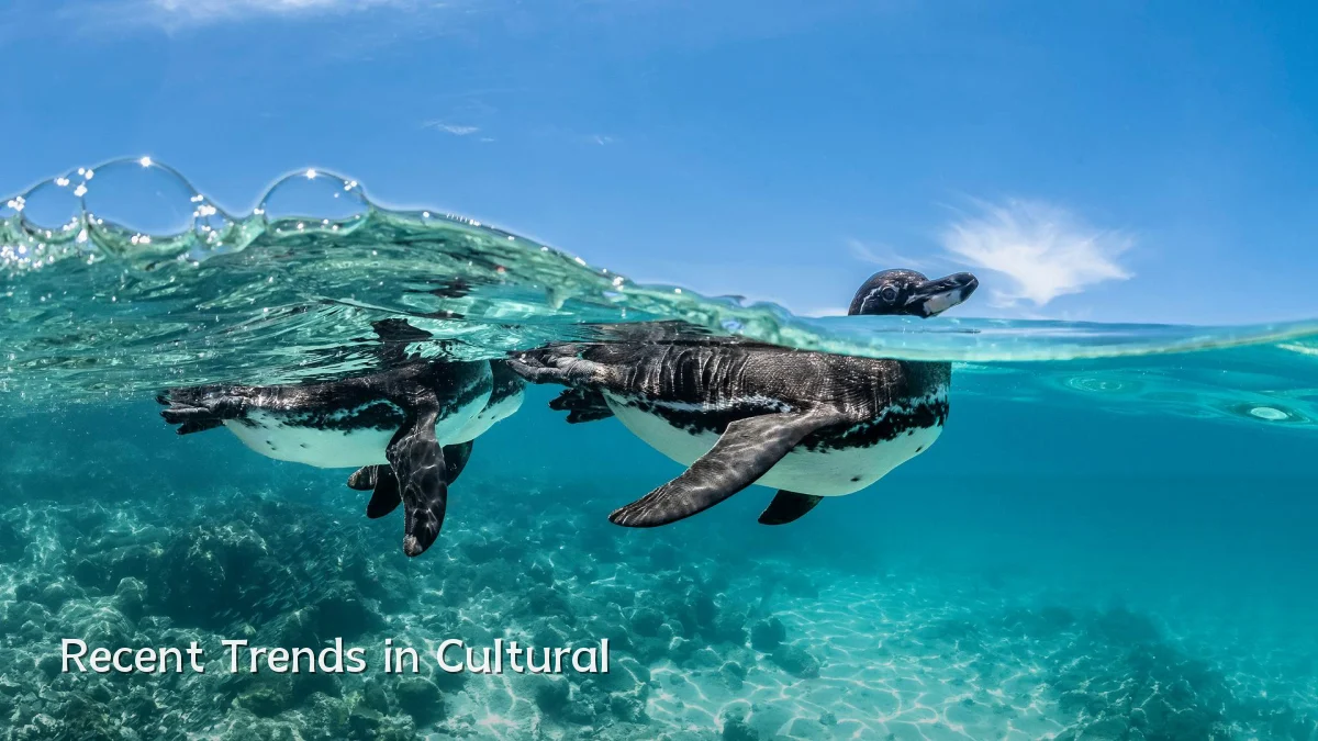 Recent Trends in Cultural