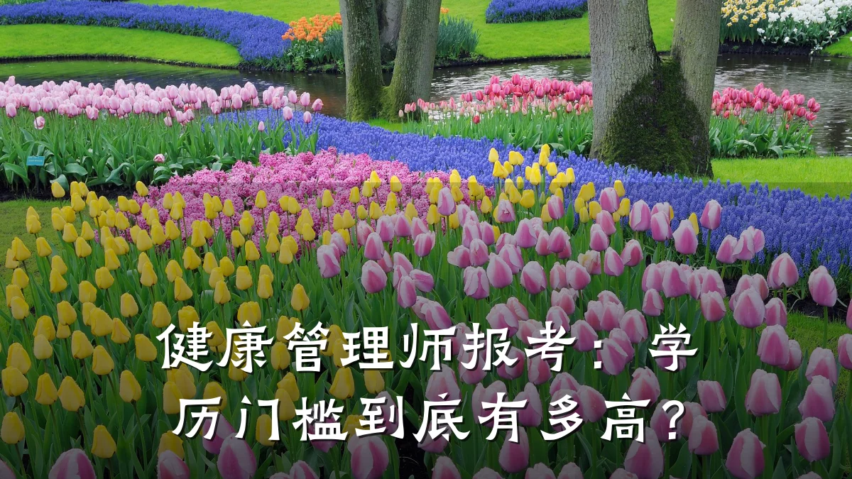 健康管理师报考:学历门槛到底有多高?