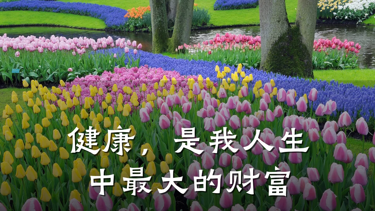 健康,是我人生中最大的财富