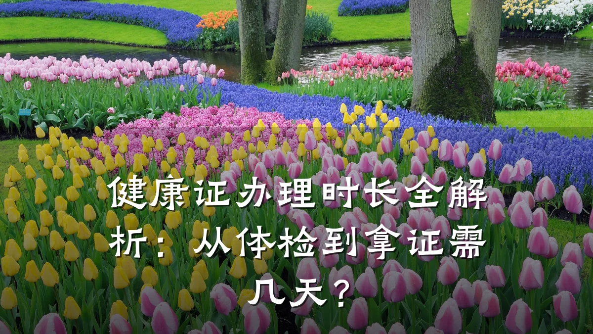 健康证办理时长全解析:从体检到拿证需几天?
