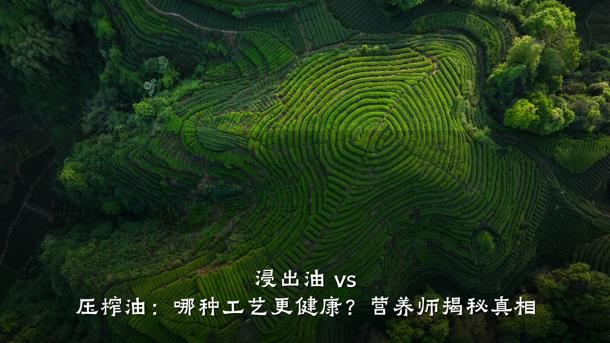 浸出油 vs 压榨油:哪种工艺更健康?营养师揭秘真相