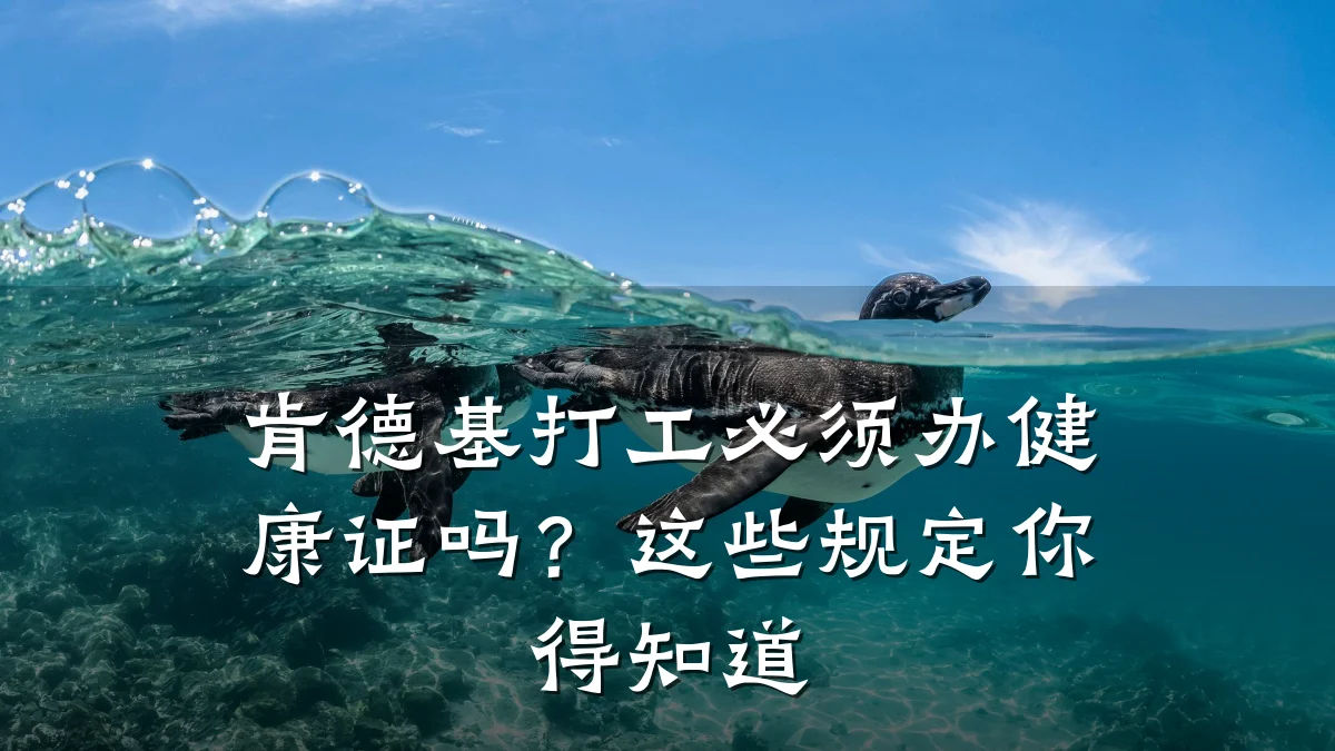 肯德基打工必须办健康证吗?这些规定你得知道