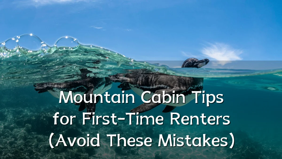 Mountain Cabin Tips for First-Time Renters (Avoid These Mistakes)