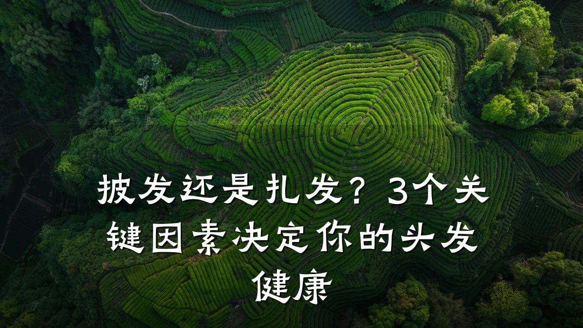 披发还是扎发?3个关键因素决定你的头发健康
