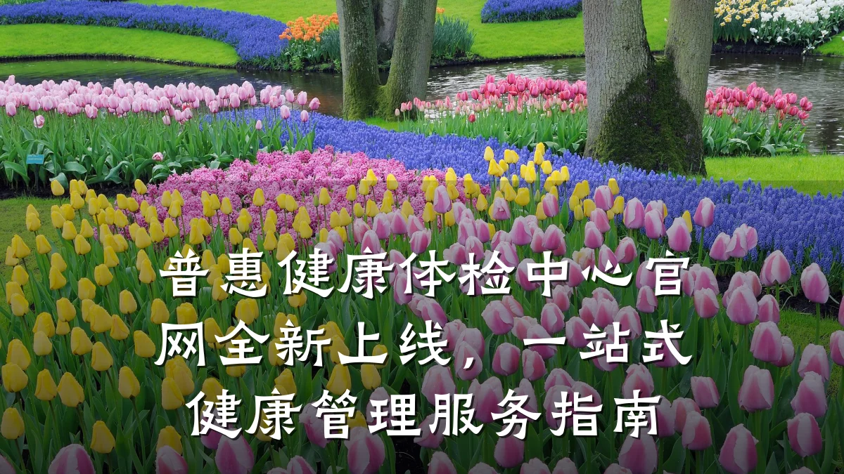 普惠健康体检中心官网全新上线，一站式健康管理服务指南