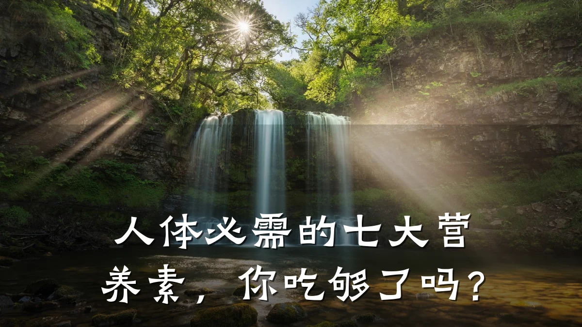 人体必需的七大营养素,你吃够了吗?