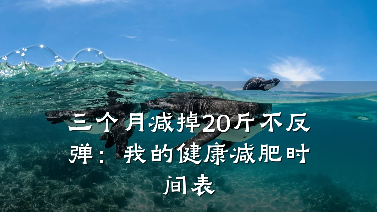 三个月减掉20斤不反弹:我的健康减肥时间表
