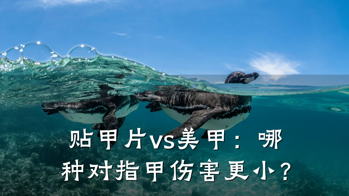 贴甲片vs美甲:哪种对指甲伤害更小?