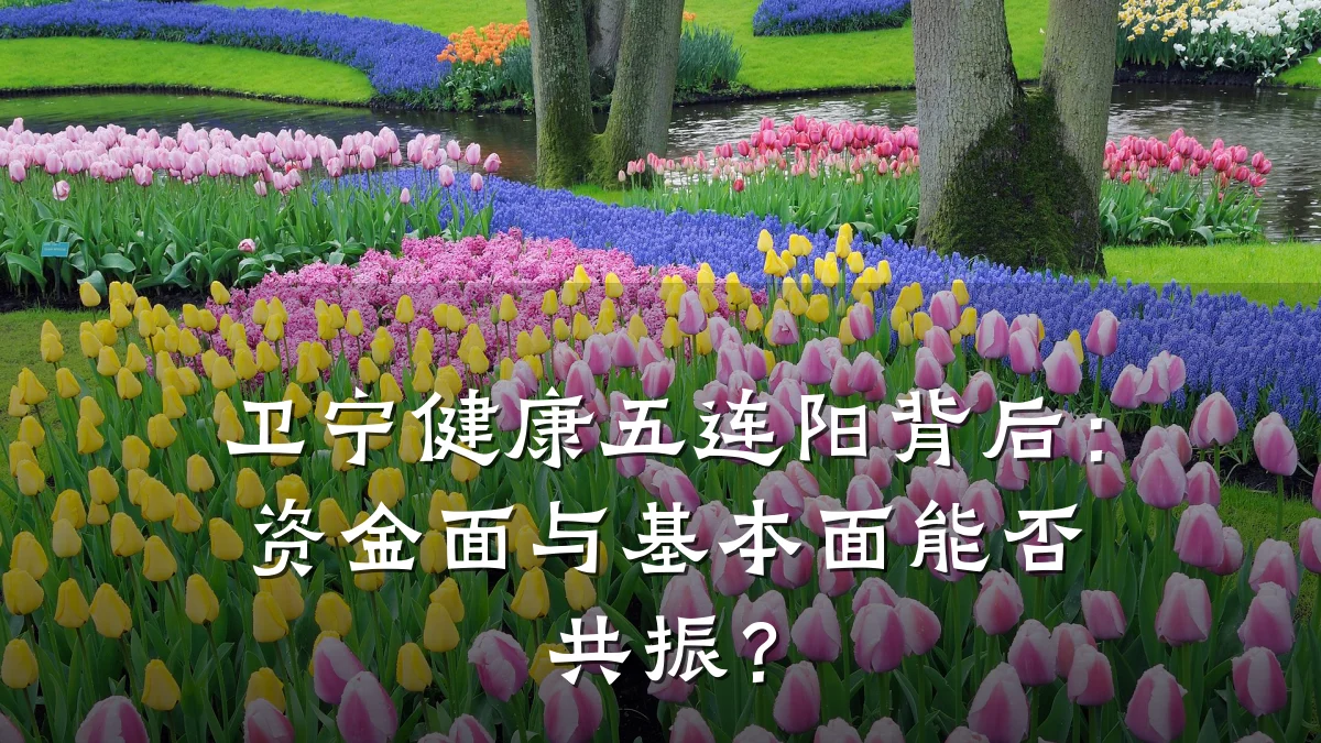 卫宁健康五连阳背后:资金面与基本面能否共振?