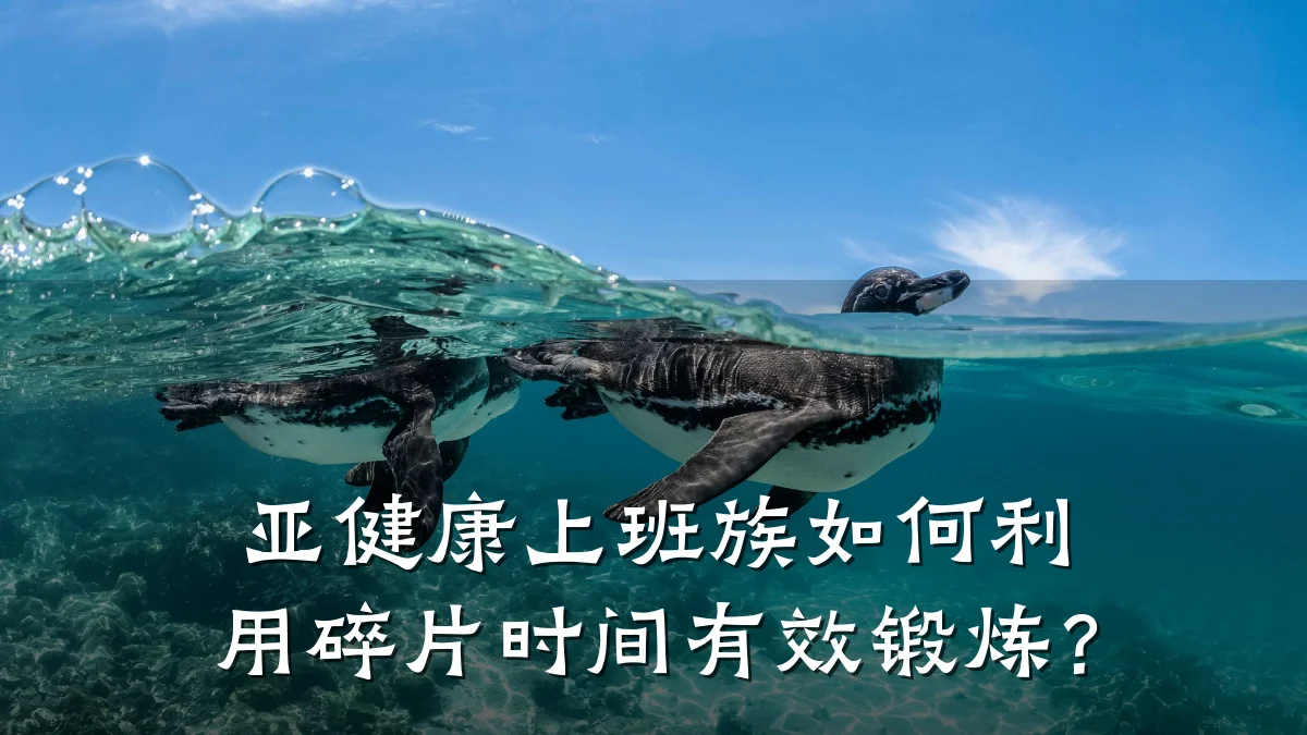 亚健康上班族如何利用碎片时间有效锻炼?