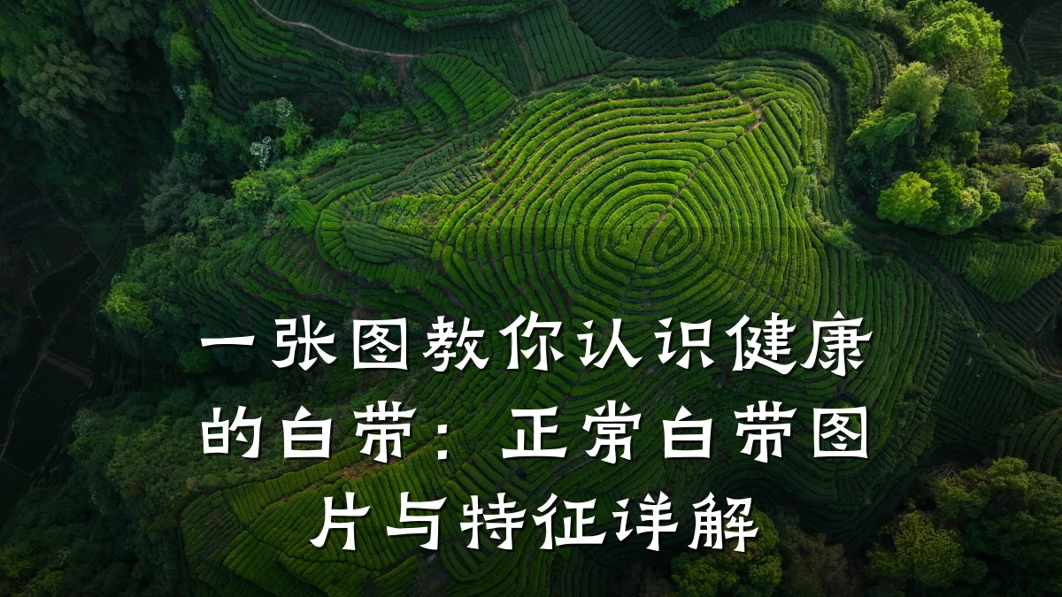 一张图教你认识健康的白带:正常白带图片与特征详解