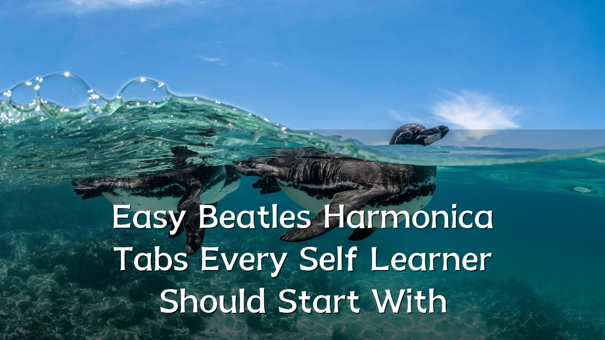 Easy Beatles Harmonica Tabs Every Self Learner Should Start With