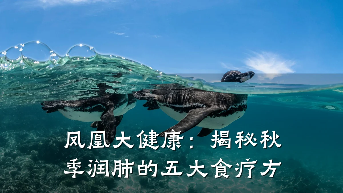 凤凰大健康:揭秘秋季润肺的五大食疗方
