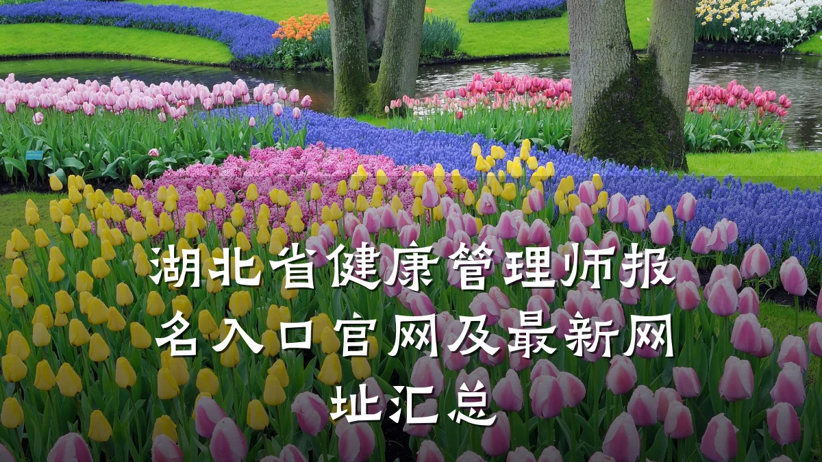 湖北省健康管理师报名入口官网及最新网址汇总