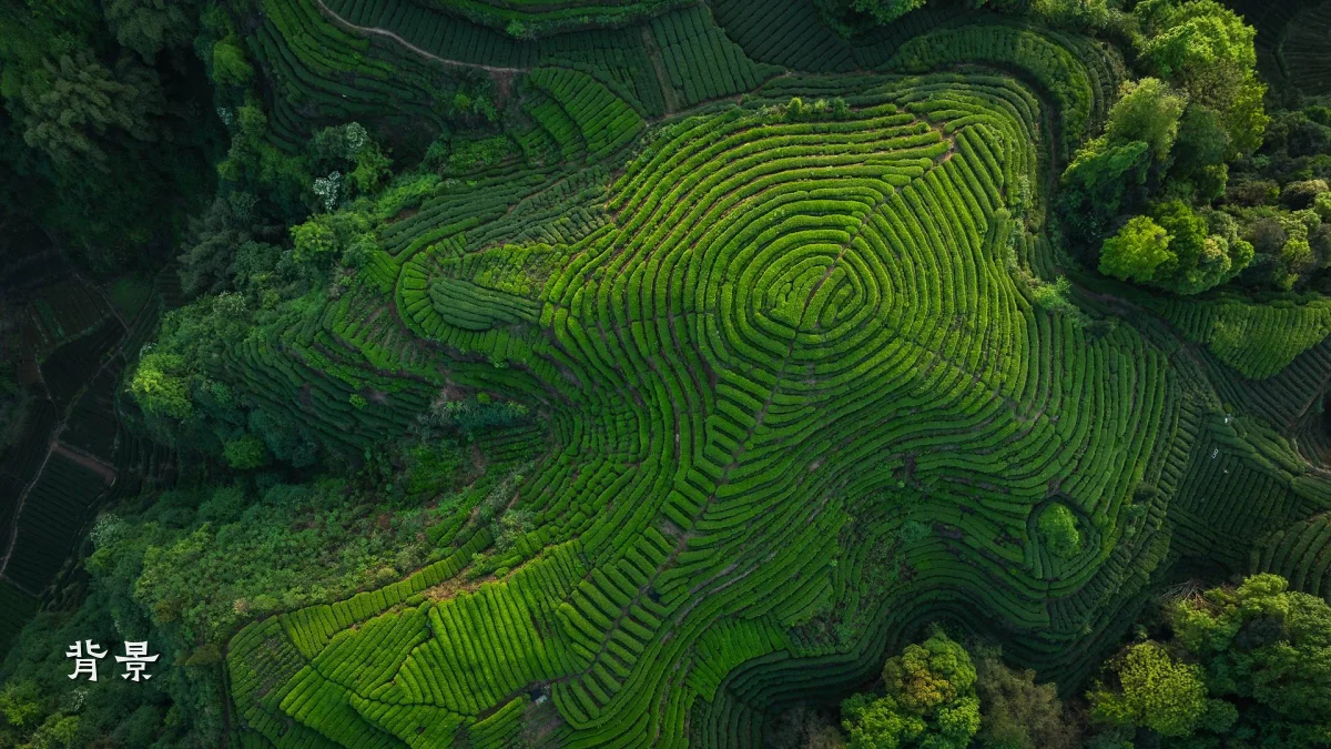 背景