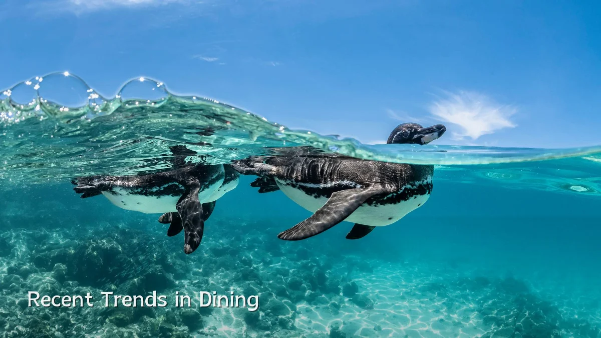 Recent Trends in Dining