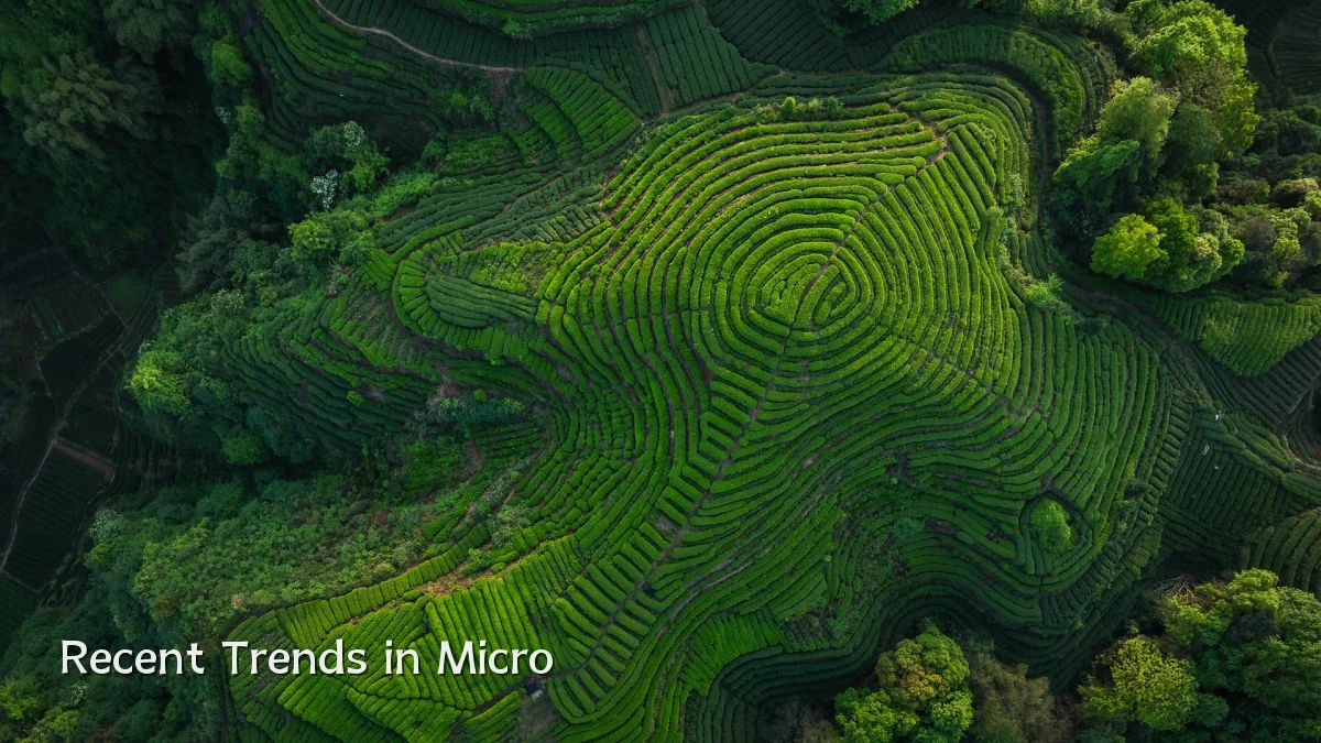 Recent Trends in Micro