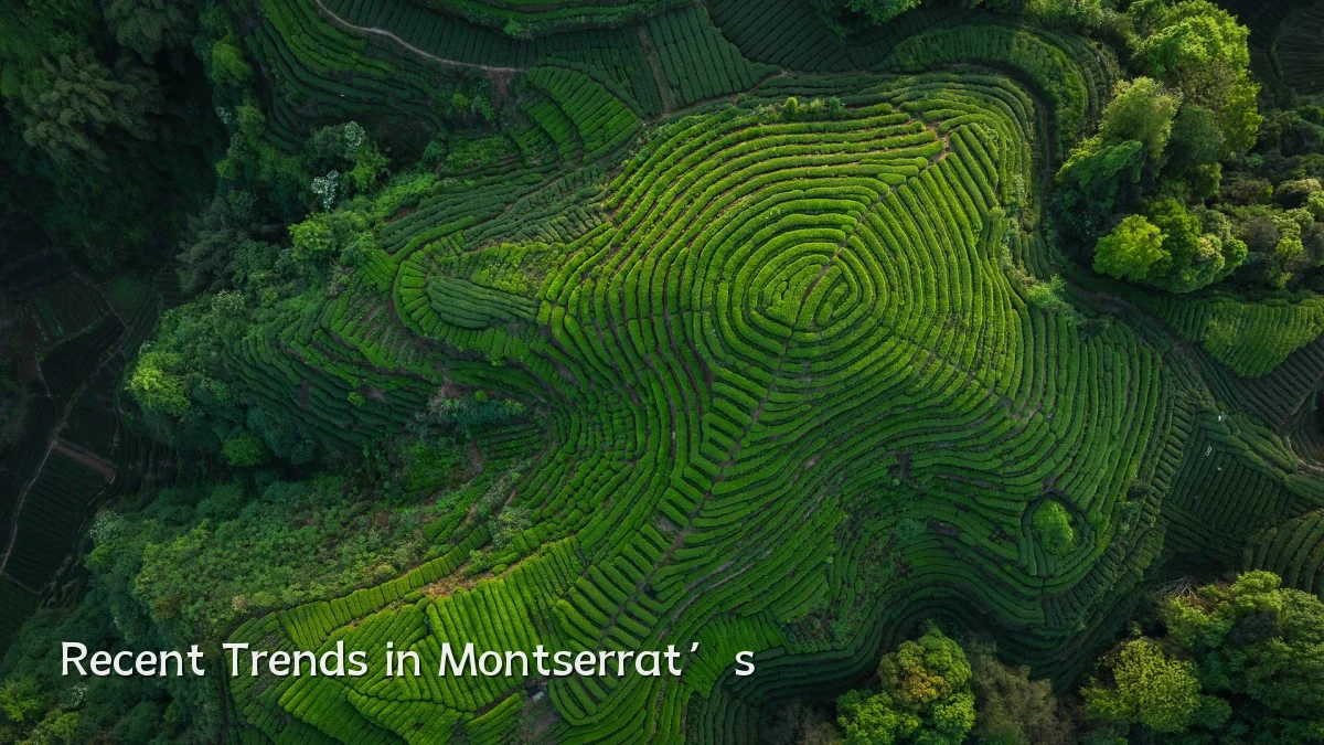 Recent Trends in Montserrat’s