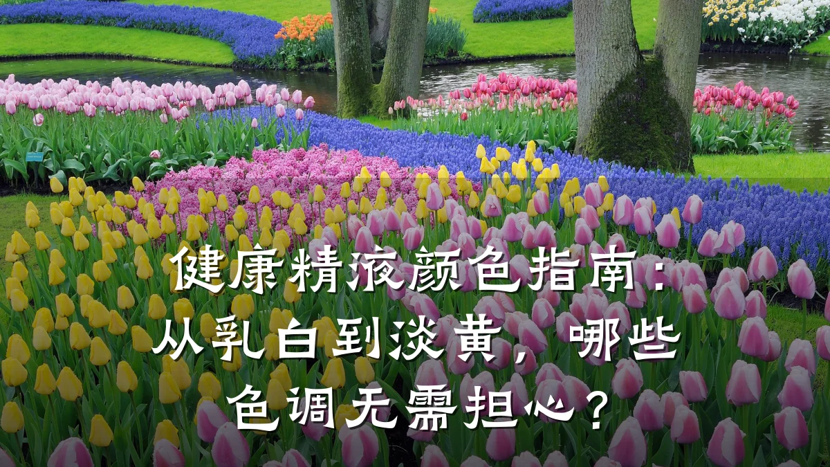 健康精液颜色指南:从乳白到淡黄,哪些色调无需担心?