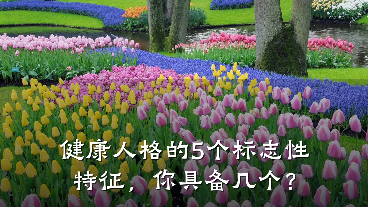健康人格的5个标志性特征,你具备几个?