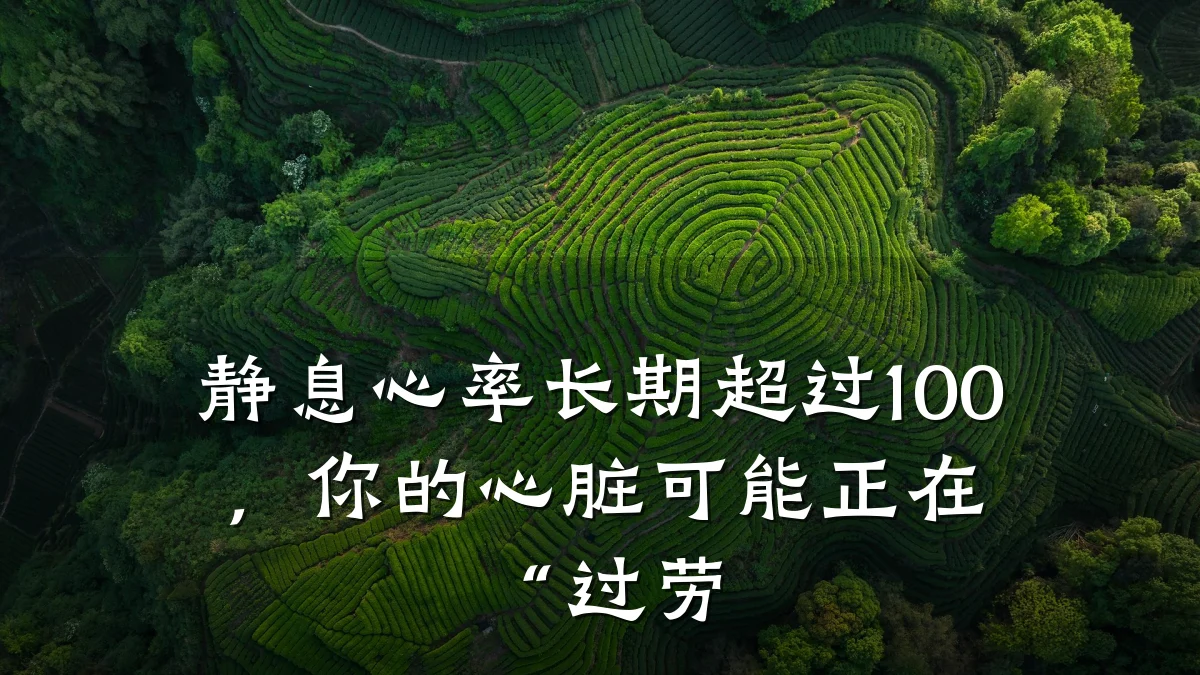 静息心率长期超过100,你的心脏可能正在“过劳