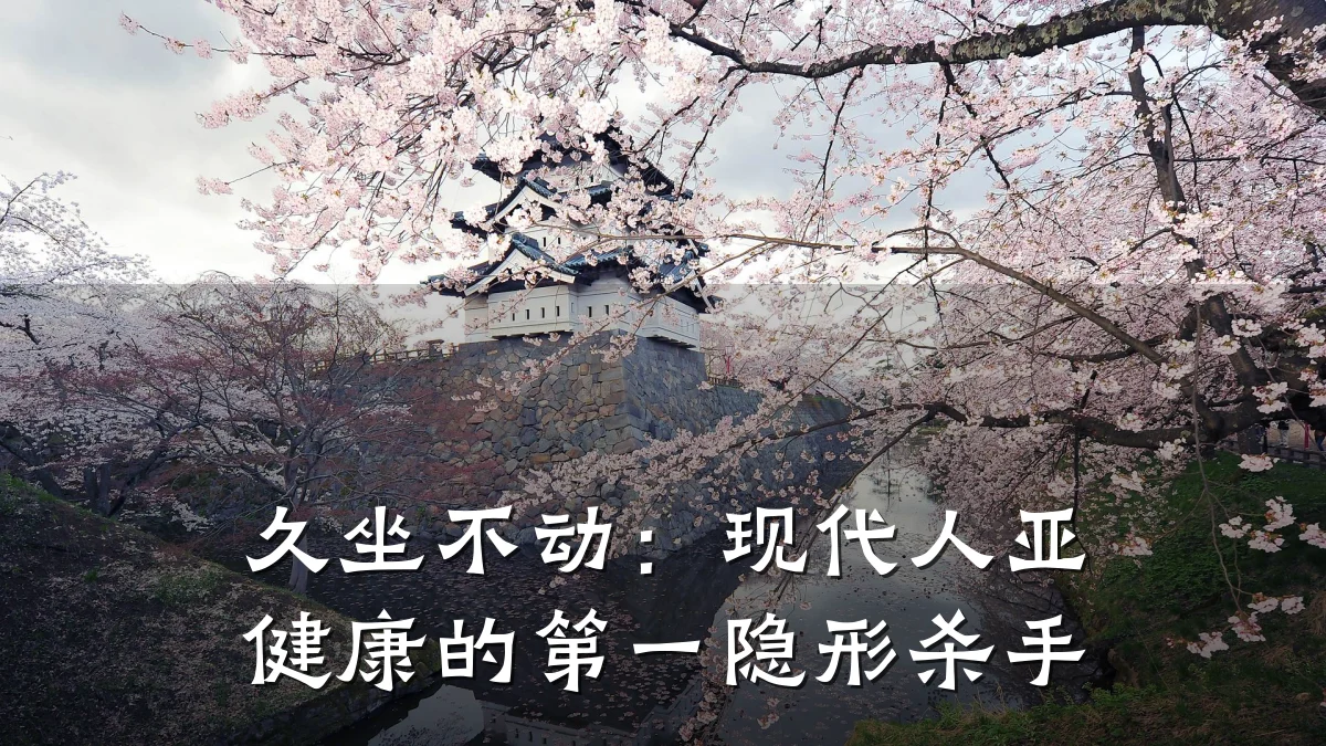 久坐不动:现代人亚健康的第一隐形杀手