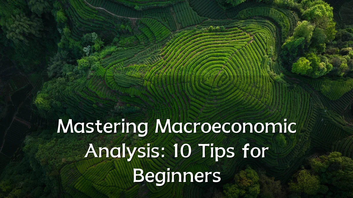 Mastering Macroeconomic Analysis: 10 Tips for Beginners
