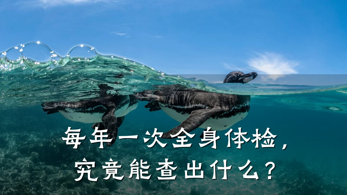 每年一次全身体检,究竟能查出什么?