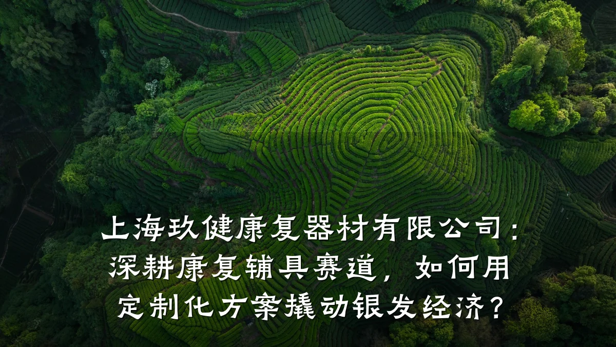 上海玖健康复器材有限公司:深耕康复辅具赛道,如何用定制化方案撬动银发经济?