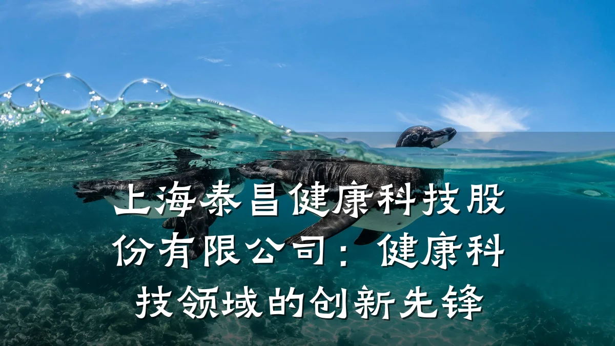 上海泰昌健康科技股份有限公司:健康科技领域的创新先锋