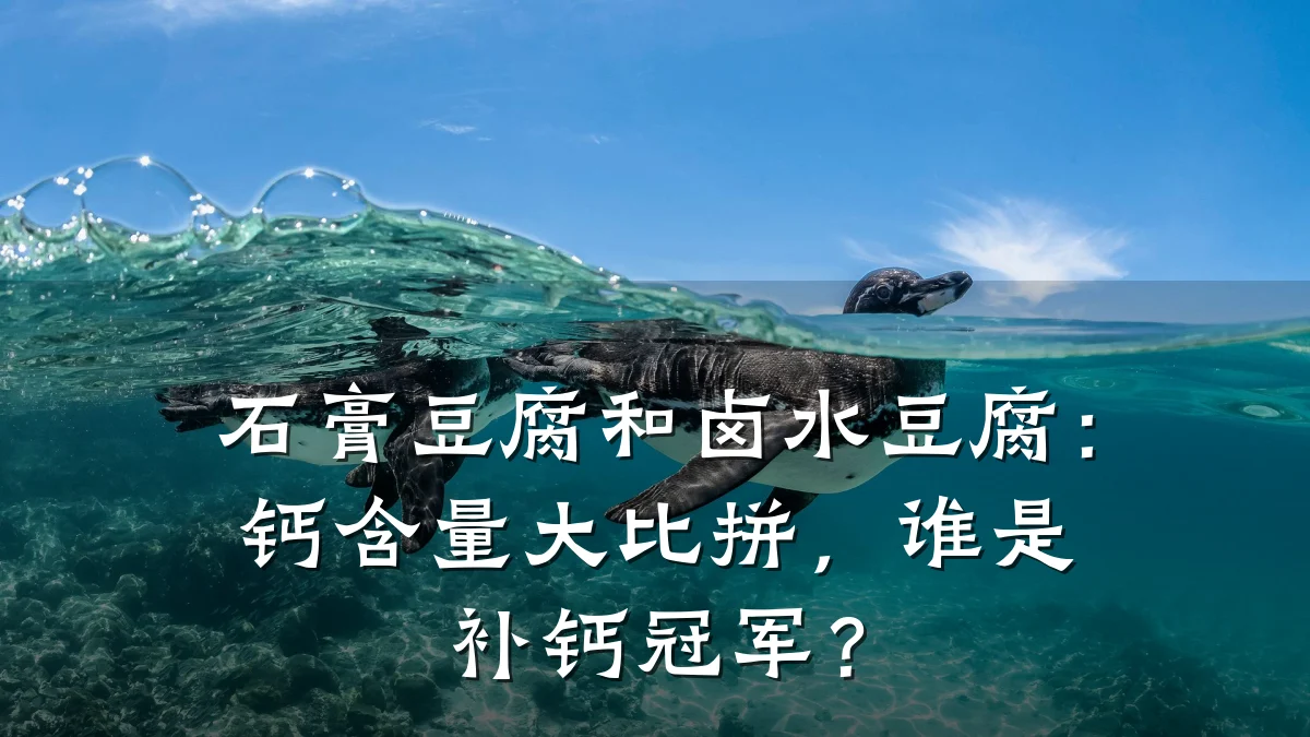 石膏豆腐和卤水豆腐:钙含量大比拼,谁是补钙冠军?