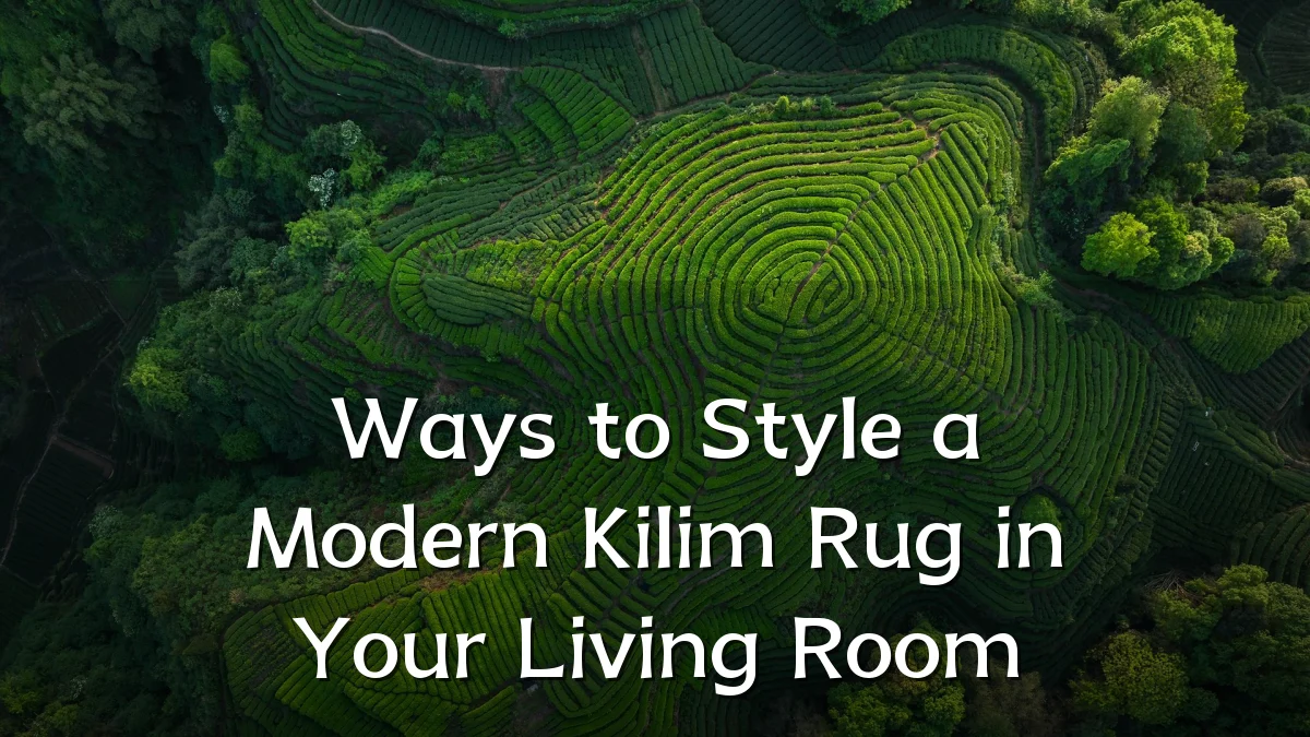 Ways to Style a Modern Kilim Rug in Your Living Room