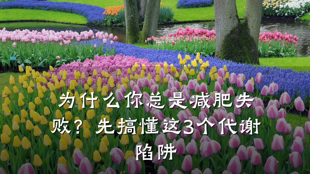 为什么你总是减肥失败?先搞懂这3个代谢陷阱