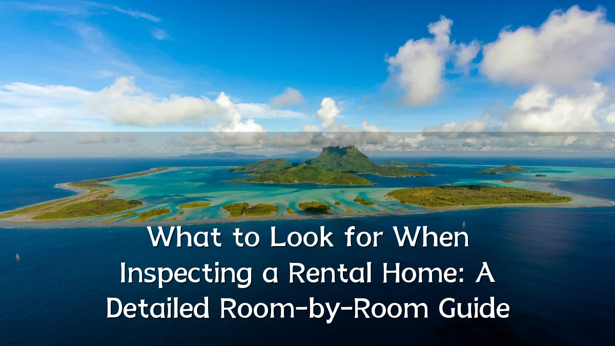 What to Look for When Inspecting a Rental Home: A Detailed Room-by-Room Guide