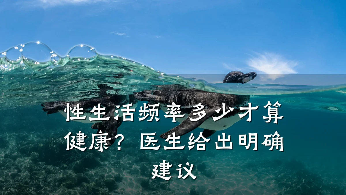 性生活频率多少才算健康?医生给出明确建议