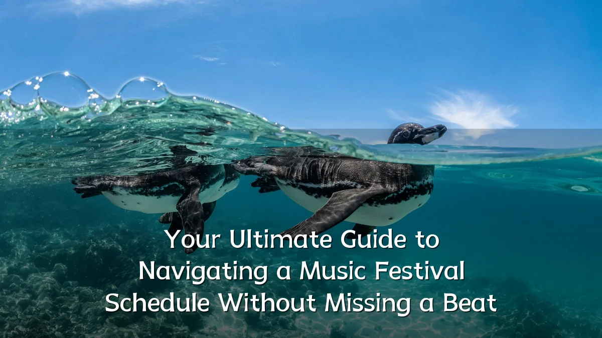 Your Ultimate Guide to Navigating a Music Festival Schedule Without Missing a Beat