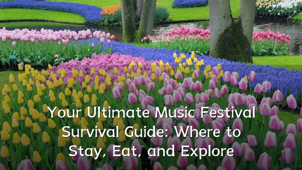Your Ultimate Music Festival Survival Guide: Where to Stay, Eat, and Explore