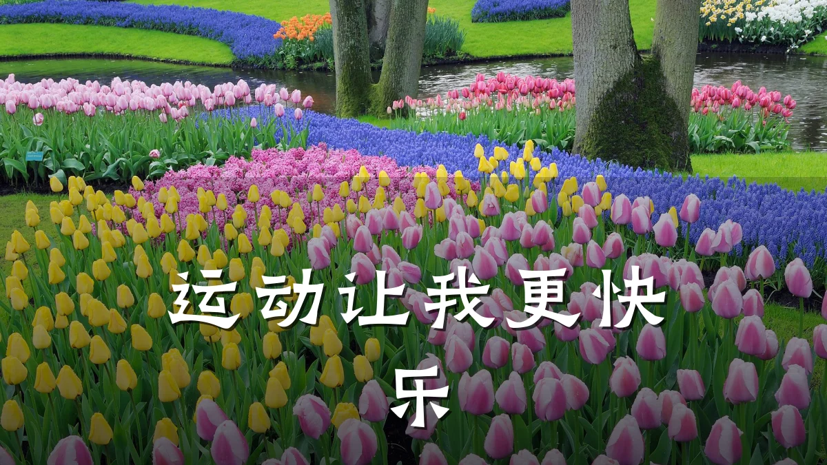 运动让我更快乐