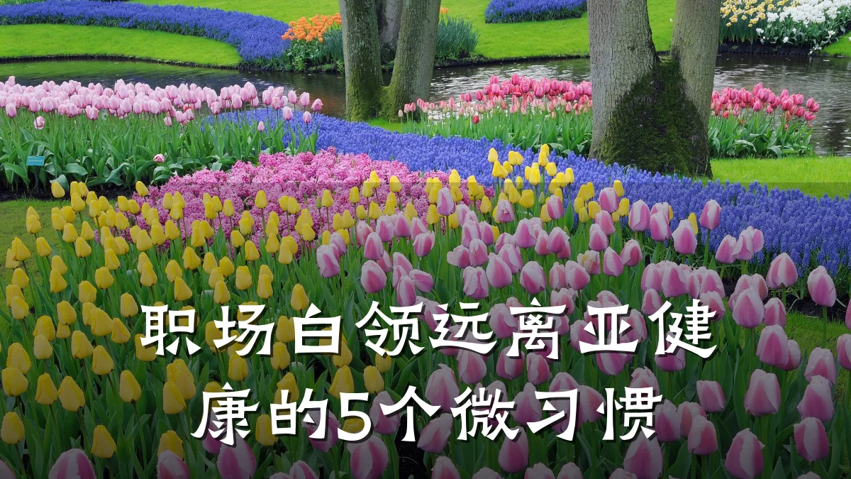 职场白领远离亚健康的5个微习惯